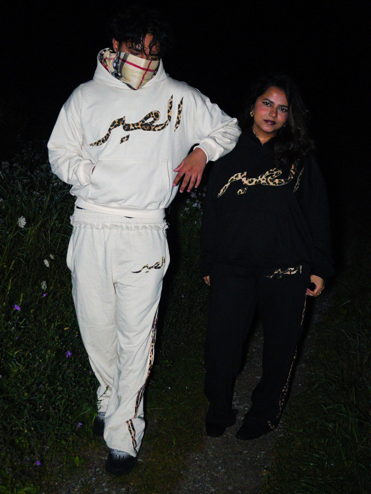 "HIDDEN IN PLAIN SIGHT" - COLLECTION