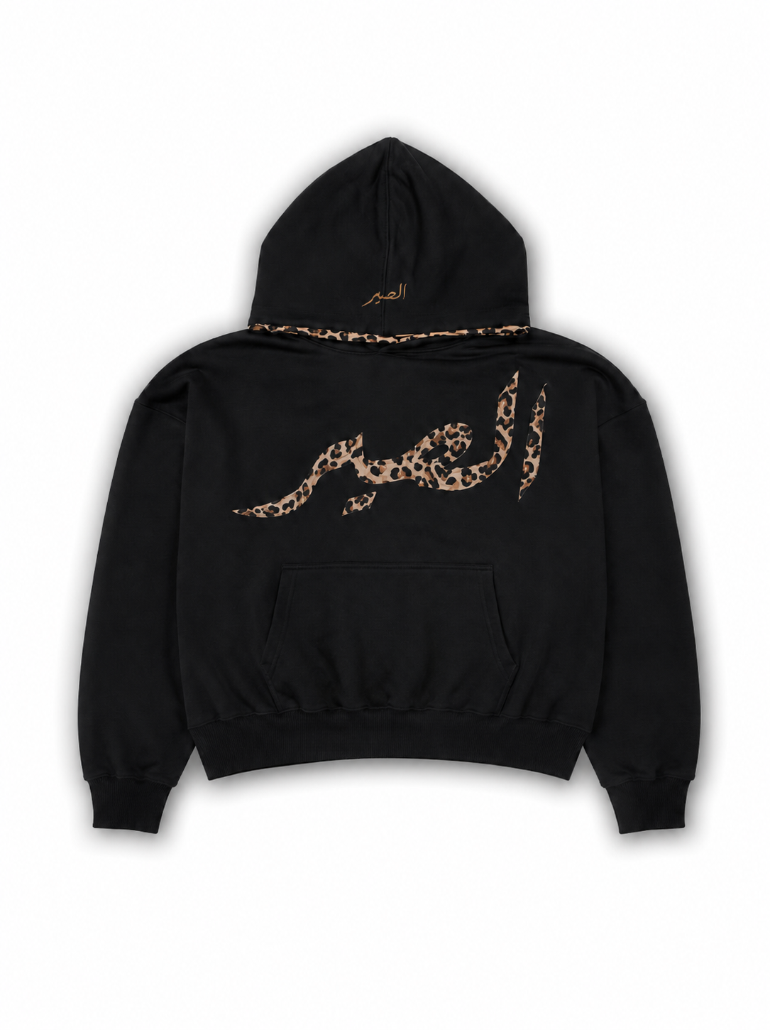 “HIDDEN IN PLAIN SIGHT” HOODIE - BLACK